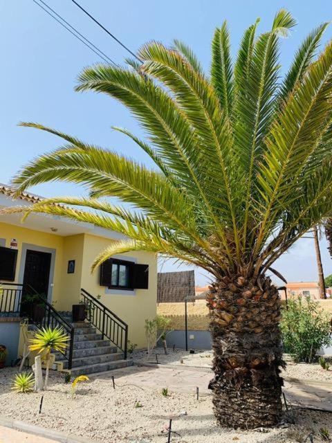 Vivienda Vacacional Tinizara Arona  Exterior photo